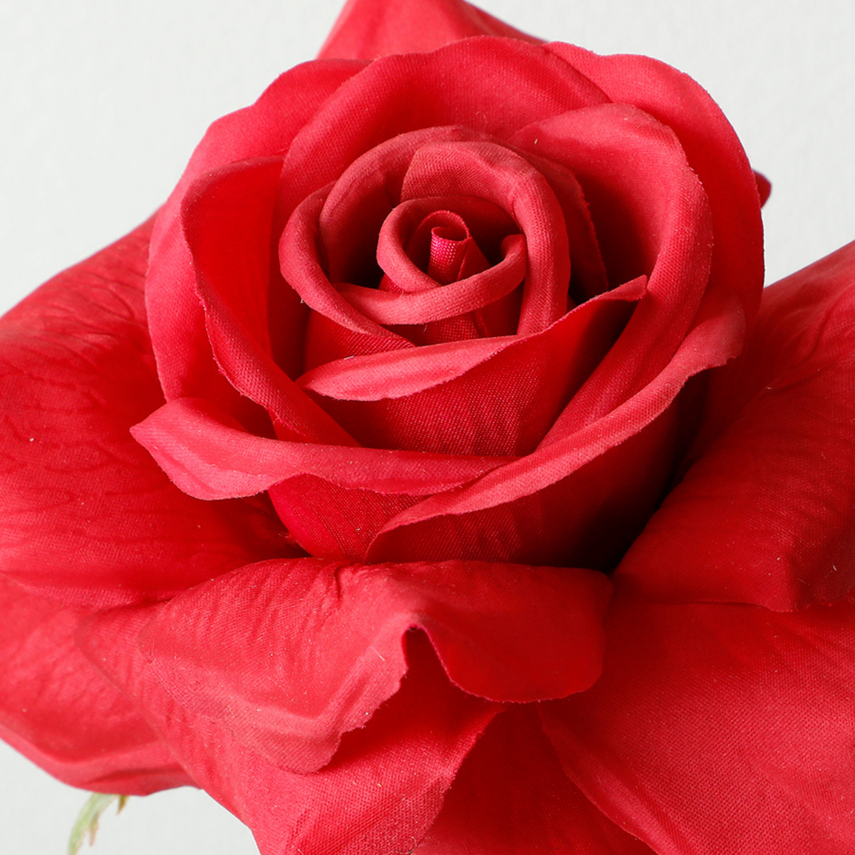 Tige de Rose ouverte Premium 50cm