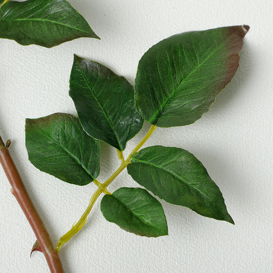 Tige de Rose fermée Premium 50cm