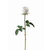 Tige de Rose fermée Premium 50cm