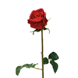 Premium Closed Rose Stem 50cm