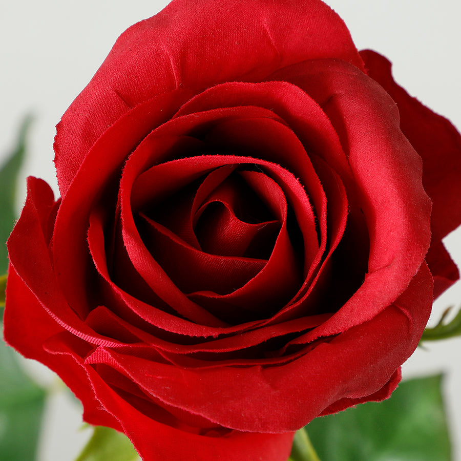 Tige de Rose fermée Premium 50cm