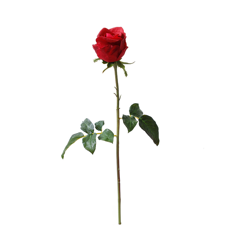 Tige de Rose fermée Premium 50cm