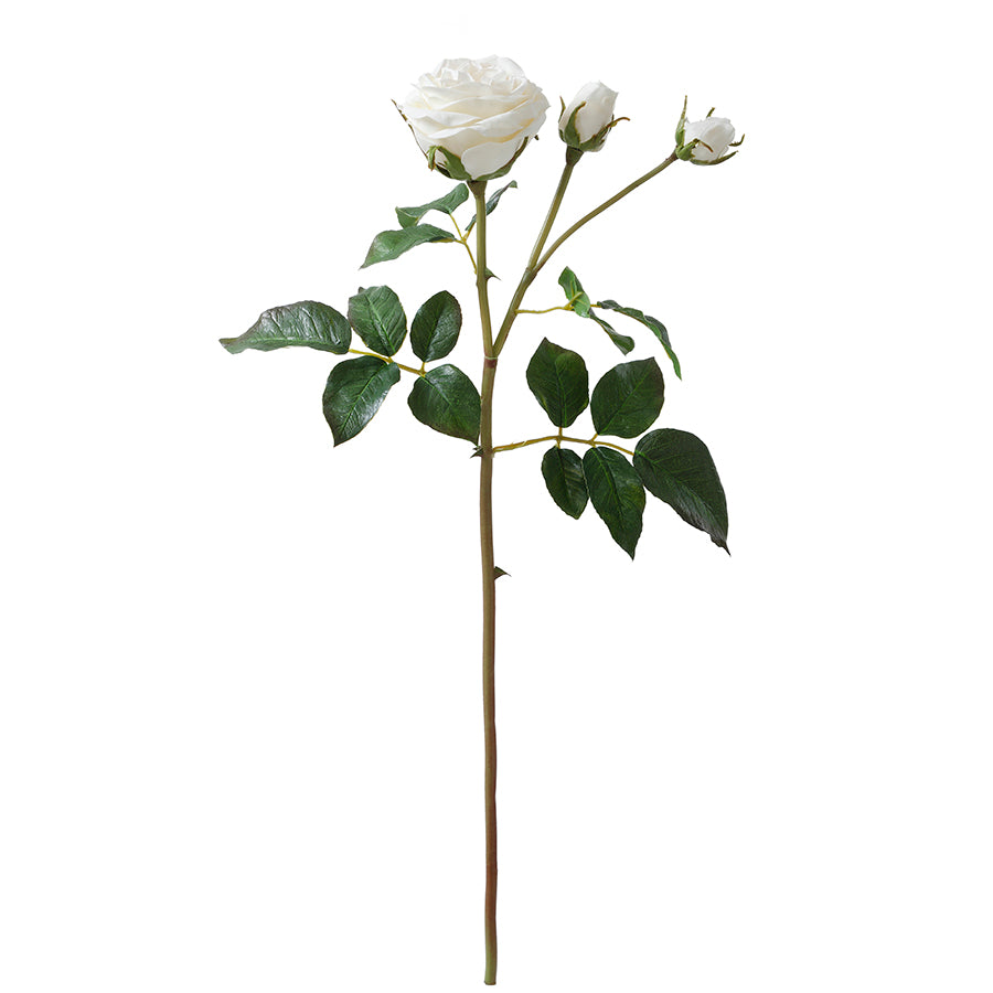 Tige de Rose ouverte avec bourgeons Premium 55cm