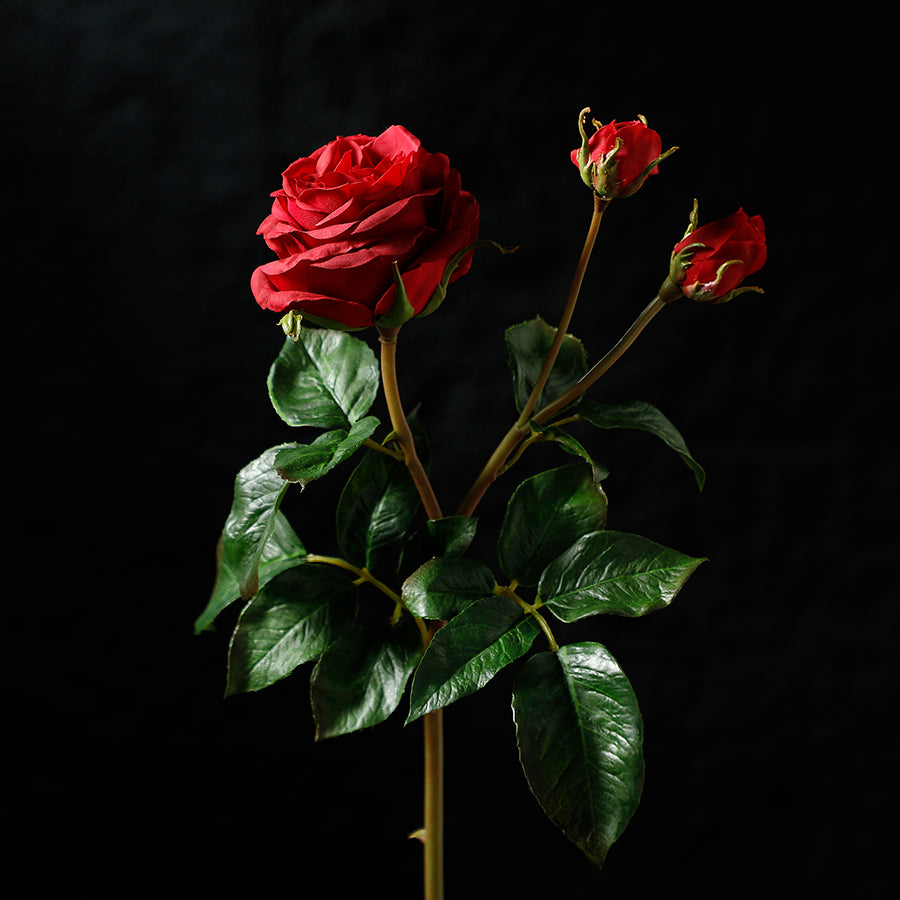 Tige de Rose ouverte avec bourgeons Premium 55cm