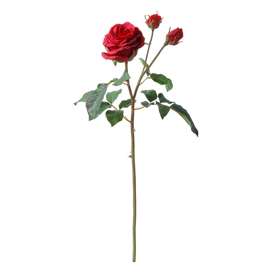 Tige de Rose ouverte avec bourgeons Premium 55cm