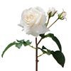 Tige de Rose ouverte avec bourgeons Premium 56cm