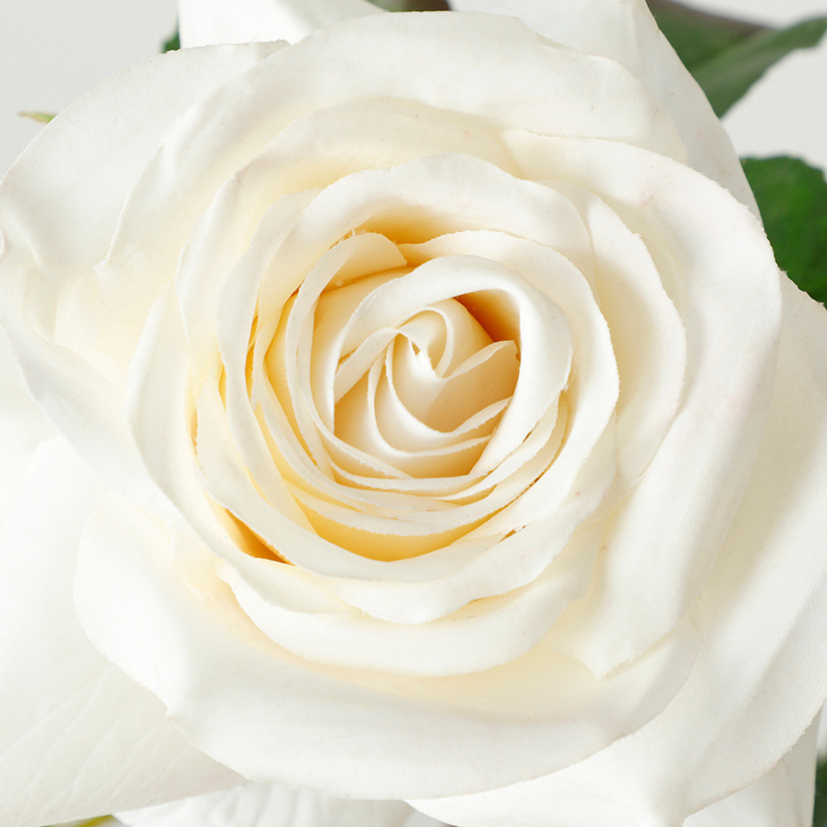 Tige de Rose ouverte avec bourgeons Premium 56cm