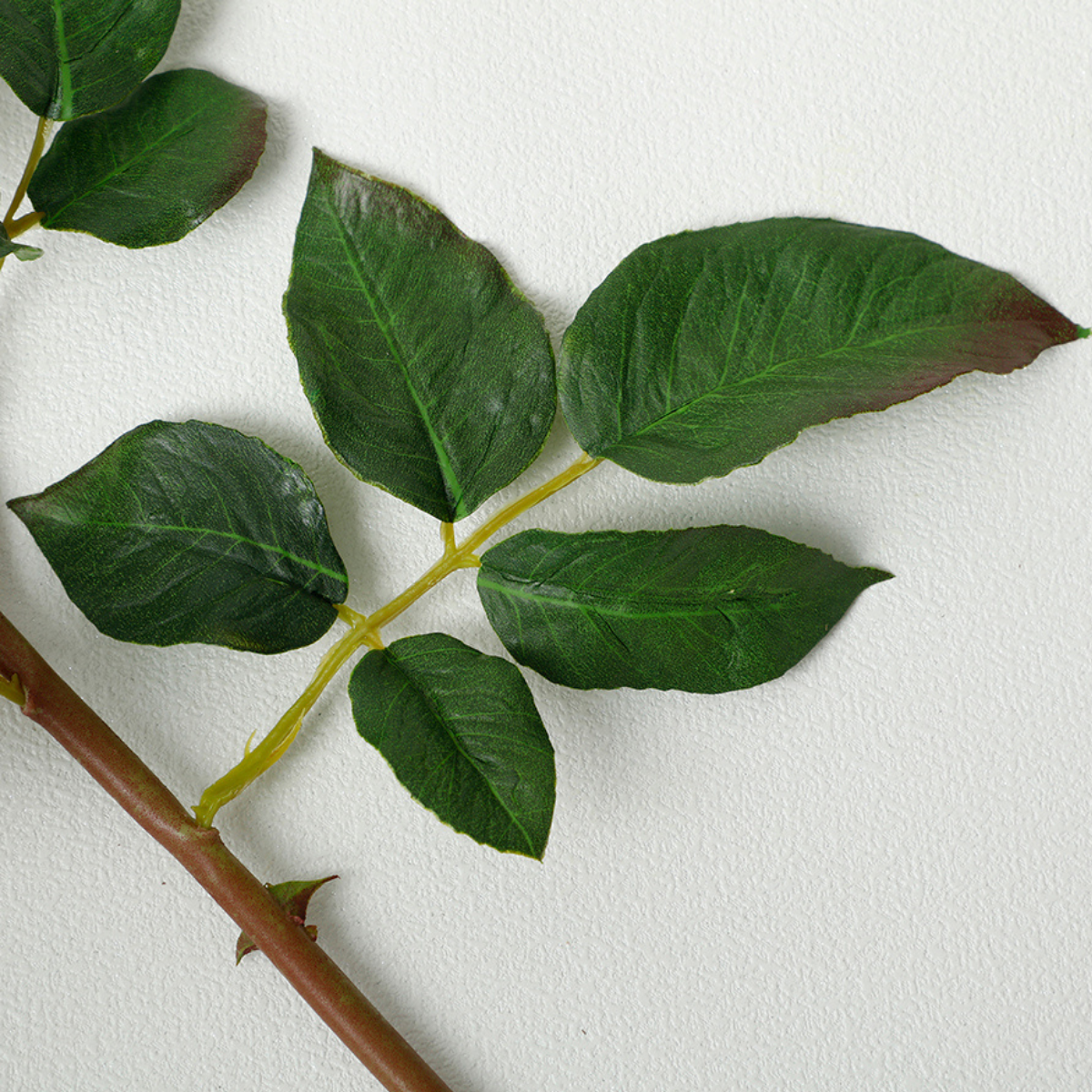 Tige de Rose ouverte avec bourgeons Premium 56cm