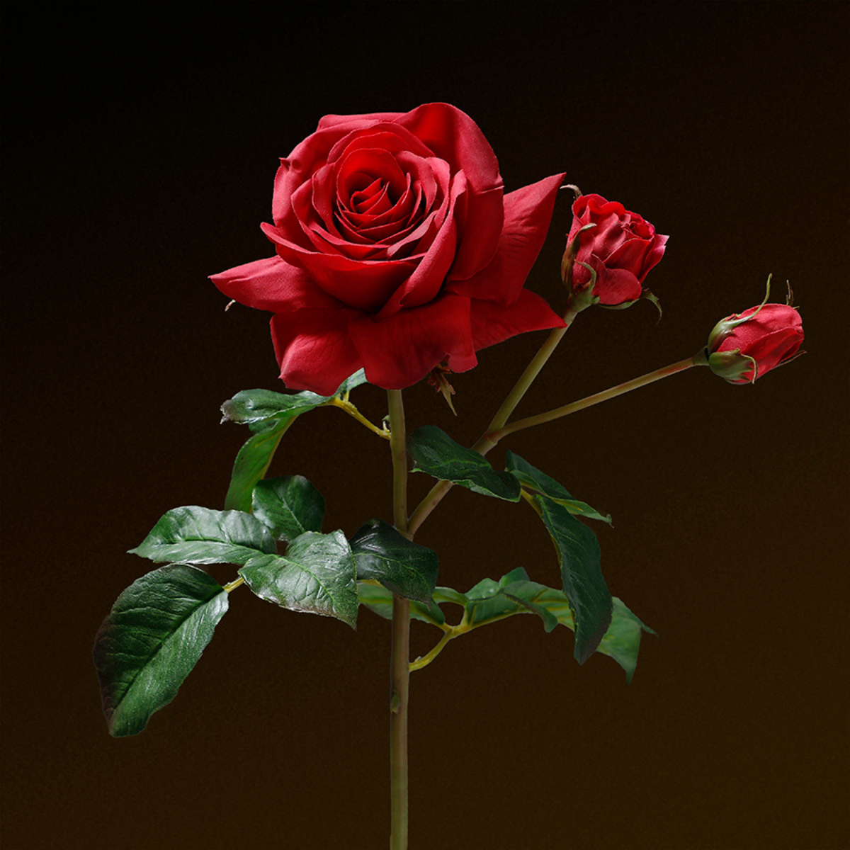 Tige de Rose ouverte avec bourgeons Premium 56cm