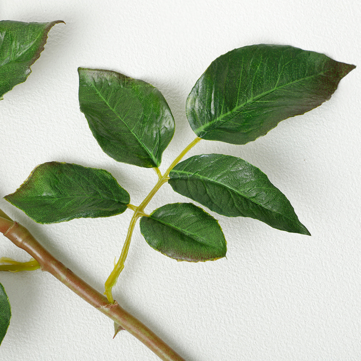 Tige de Rose ouverte avec bourgeons Premium 56cm