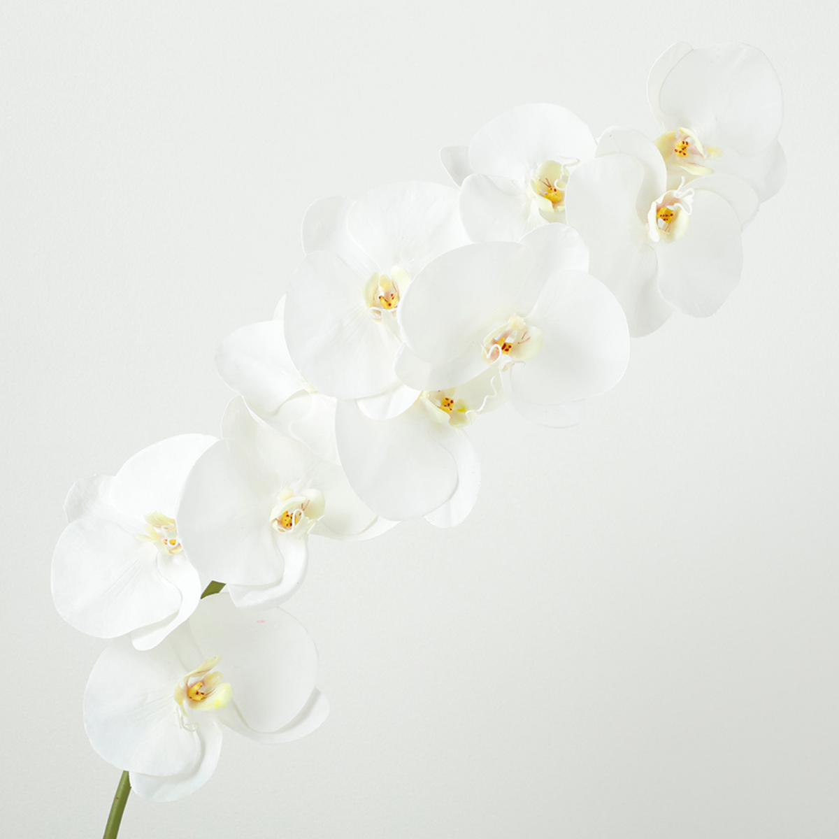 Tige d'Orchidée Premium 86cm