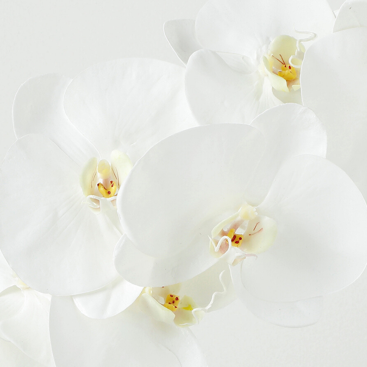 Tige d'Orchidée Premium 86cm