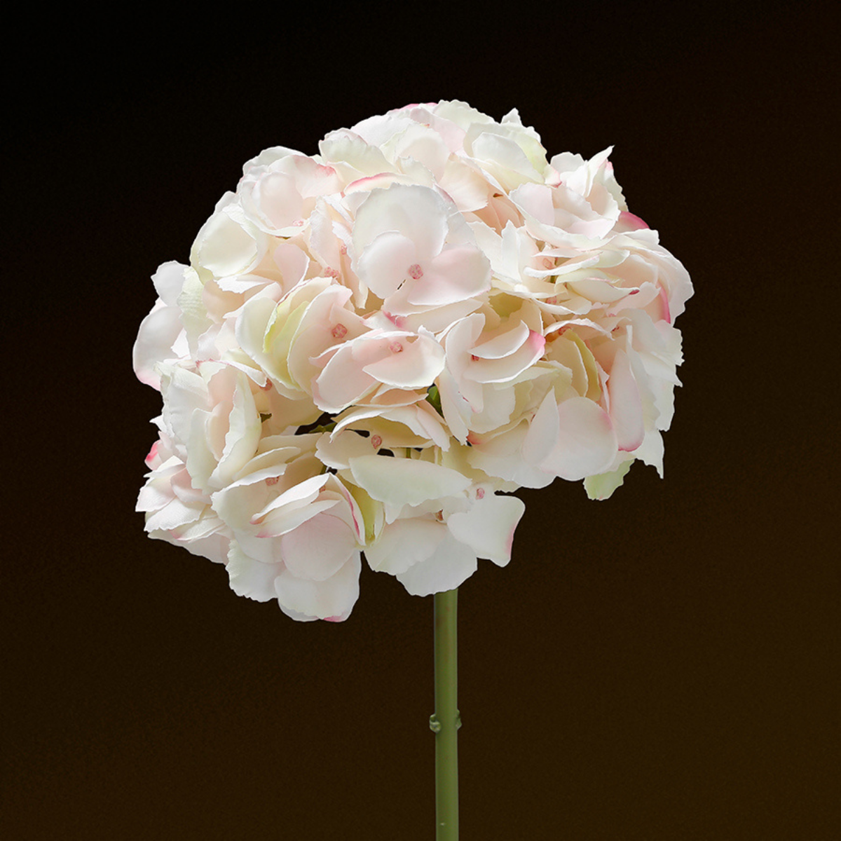 Tige d'Hortensia Premium 48cm