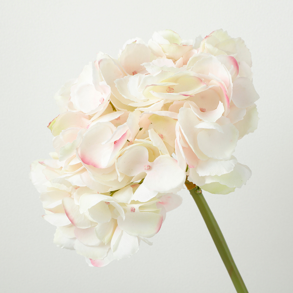 Tige d'Hortensia Premium 48cm