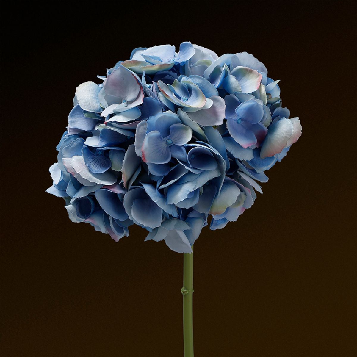 Tige d'Hortensia Premium 48cm