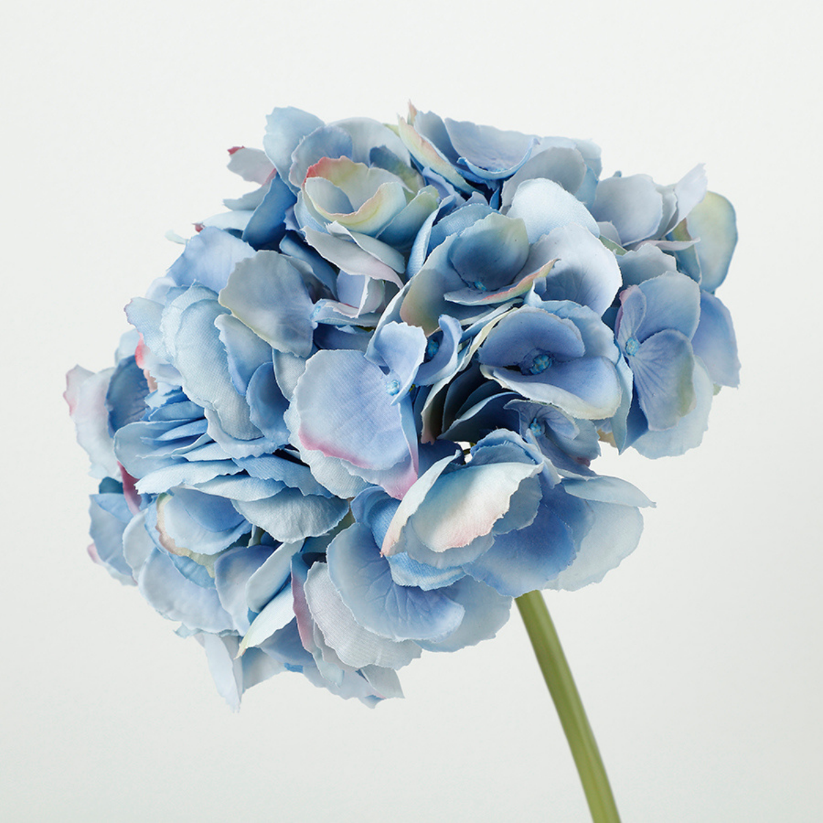 Tige d'Hortensia Premium 48cm