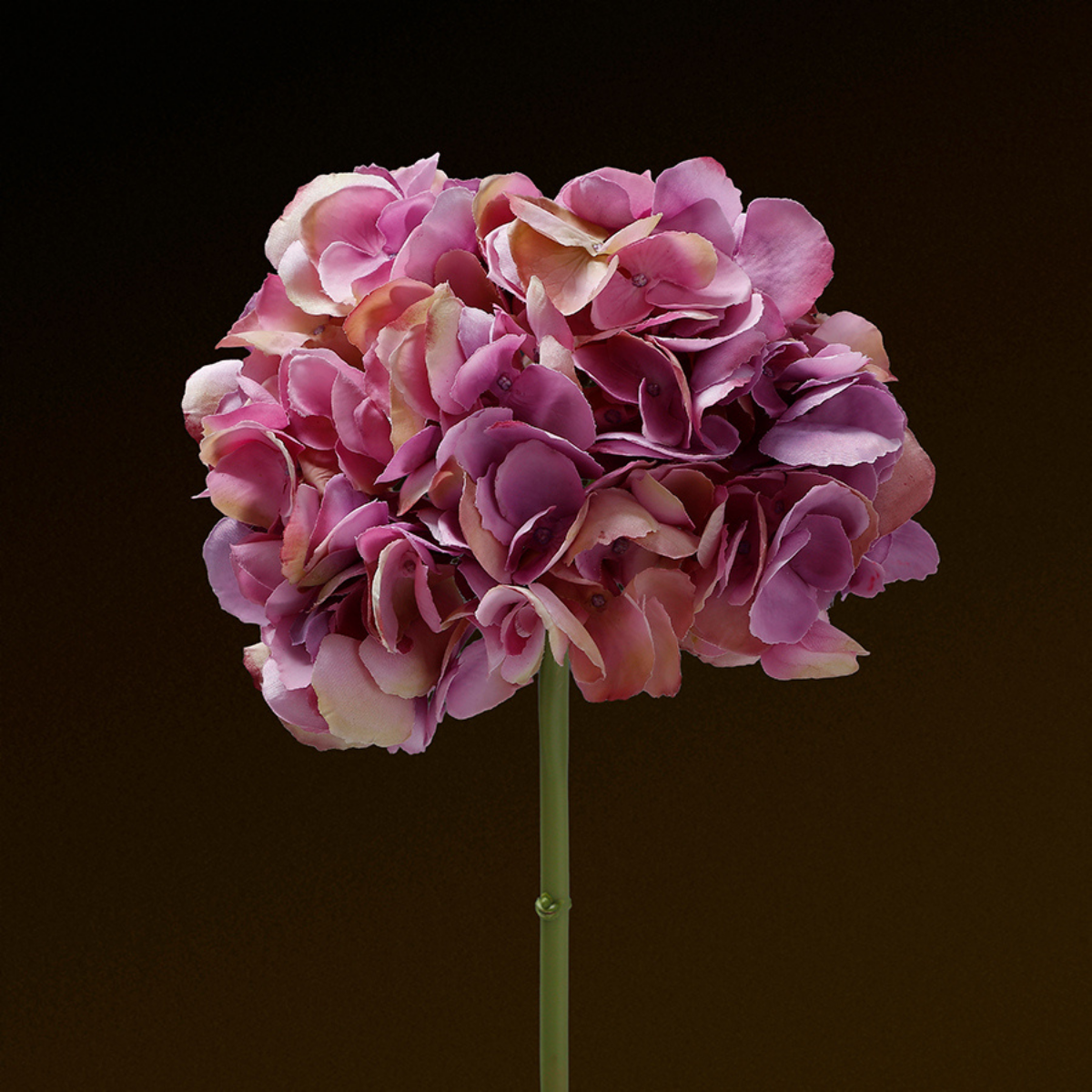 Tige d'Hortensia Premium 48cm