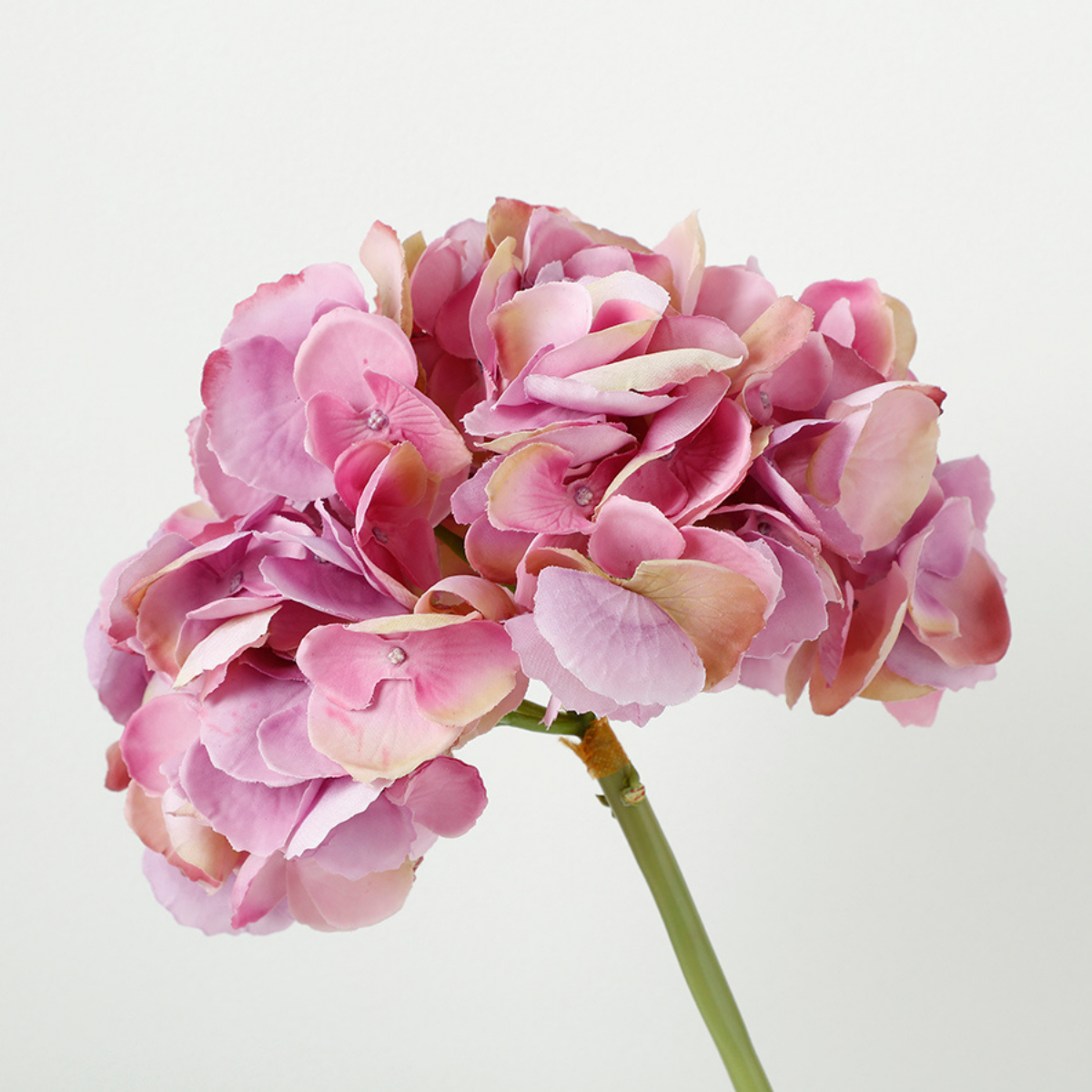 Tige d'Hortensia Premium 48cm