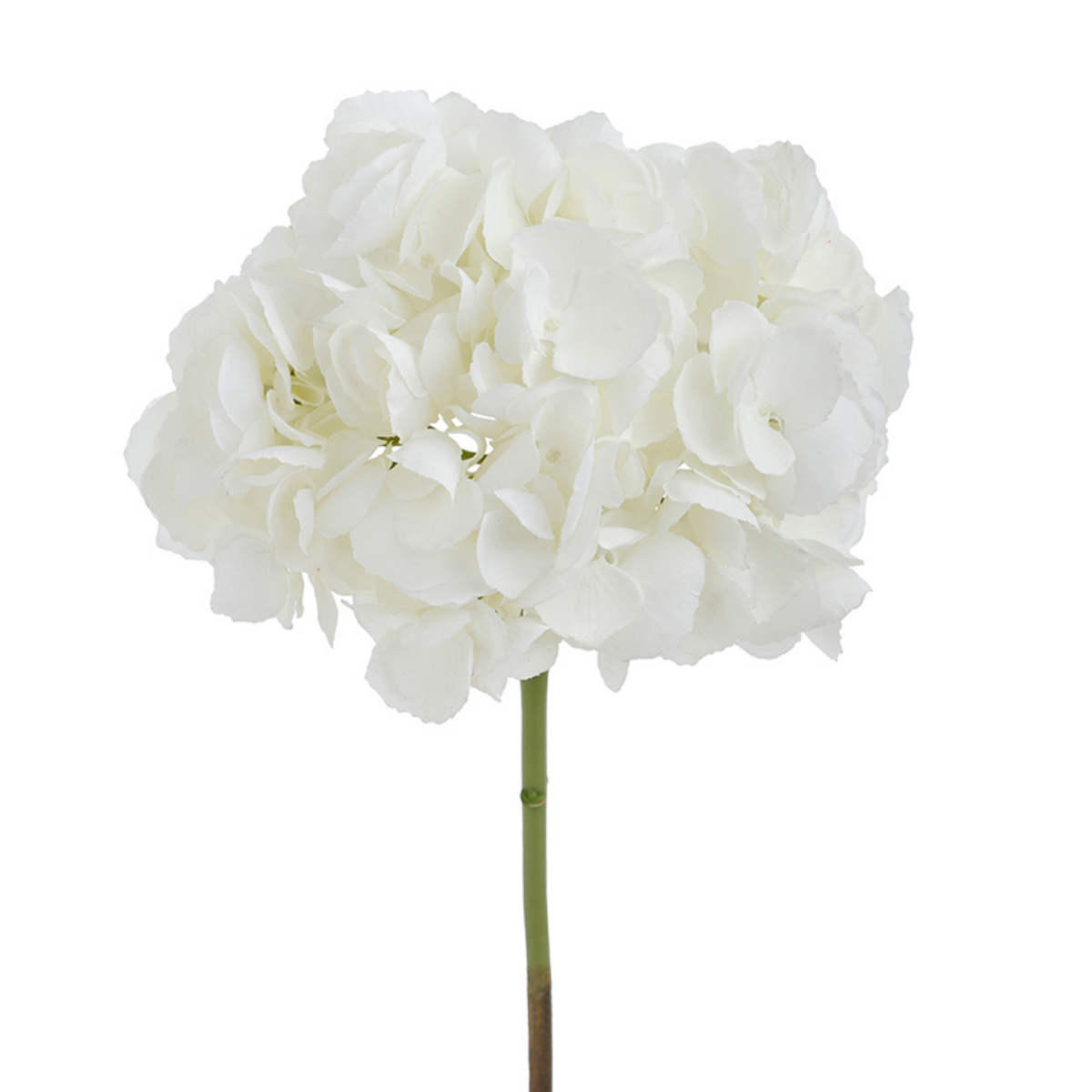 Tige d'Hortensia Premium 48cm