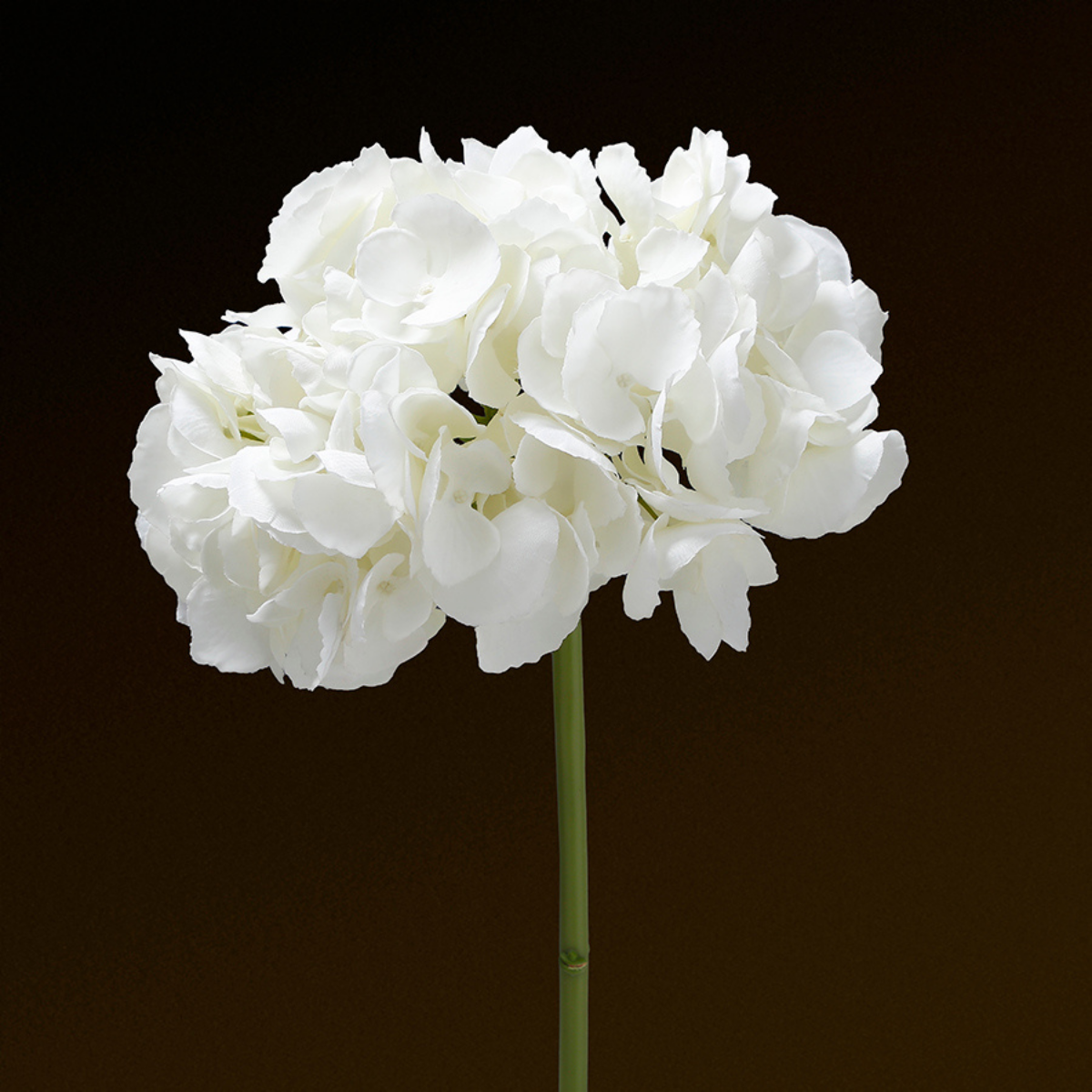 Tige d'Hortensia Premium 48cm