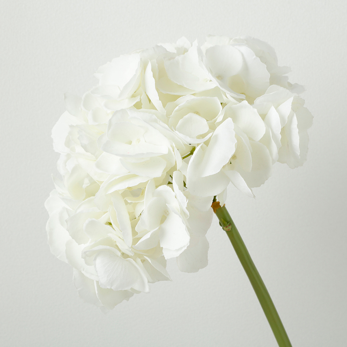 Tige d'Hortensia Premium 48cm