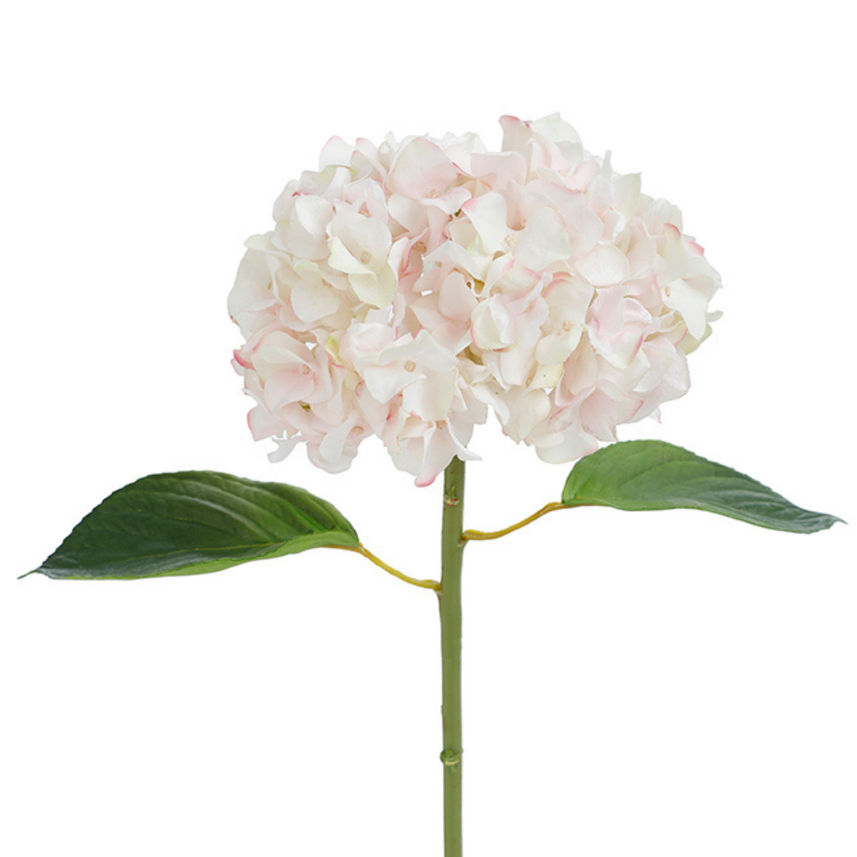 Tige d'Hortensia avec feuilles Premium 45cm
