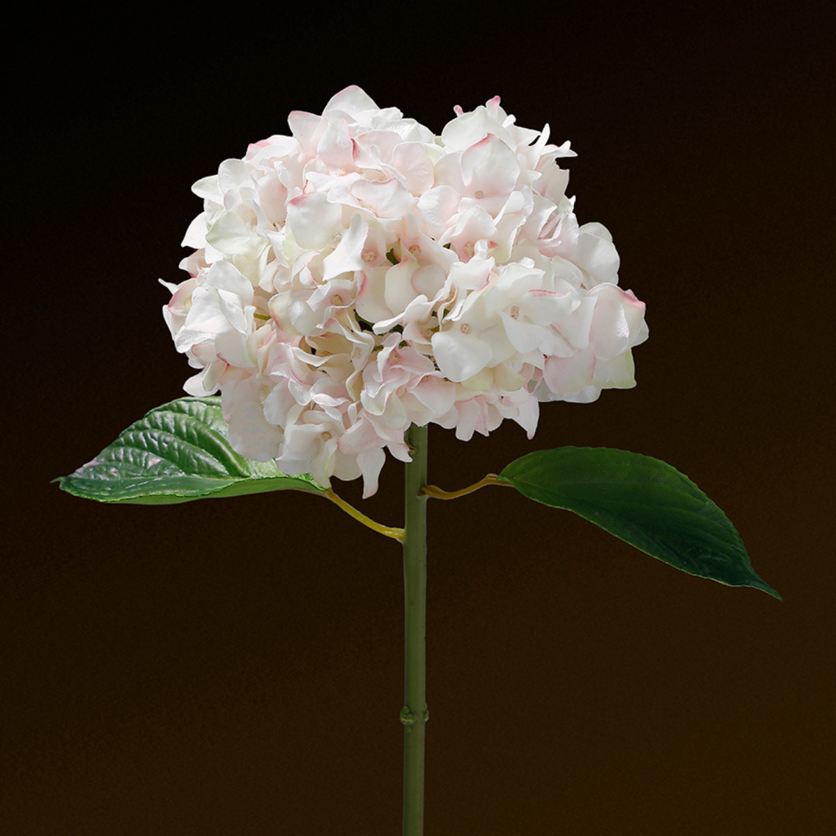 Tige d'Hortensia avec feuilles Premium 45cm