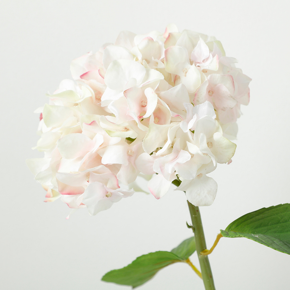 Tige d'Hortensia avec feuilles Premium 45cm