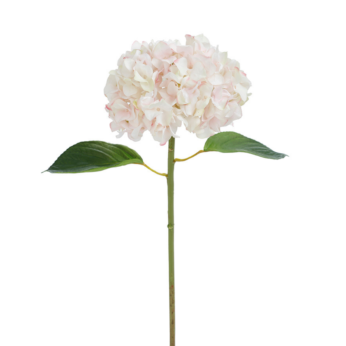 Tige d'Hortensia avec feuilles Premium 45cm