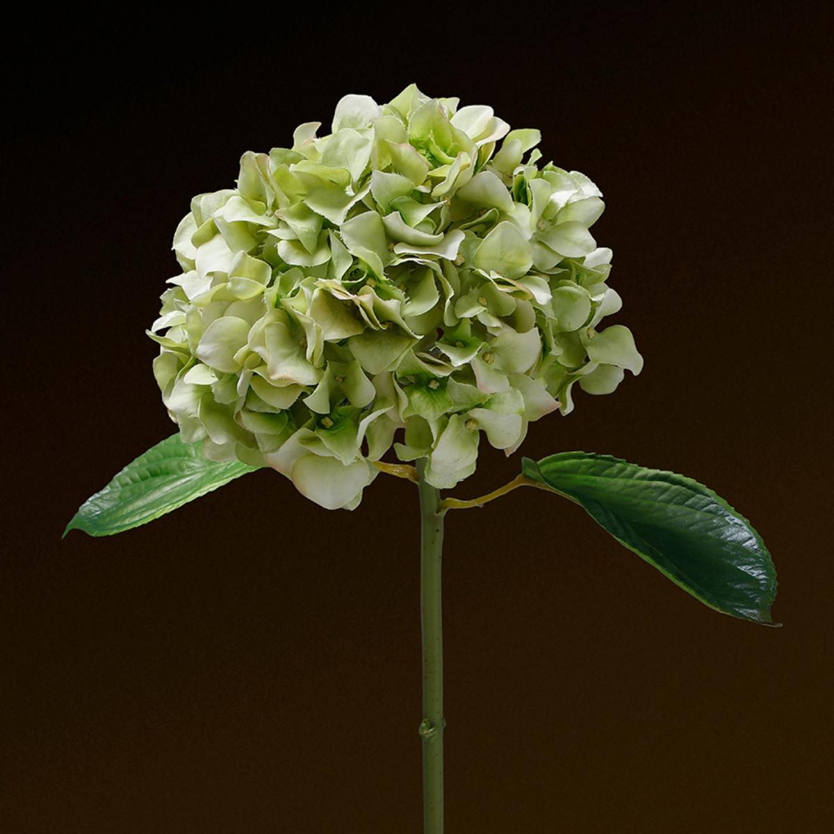 Tige d'Hortensia avec feuilles Premium 45cm
