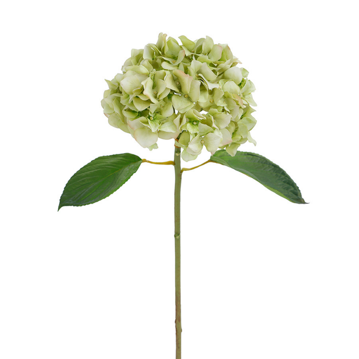 Tige d'Hortensia avec feuilles Premium 45cm
