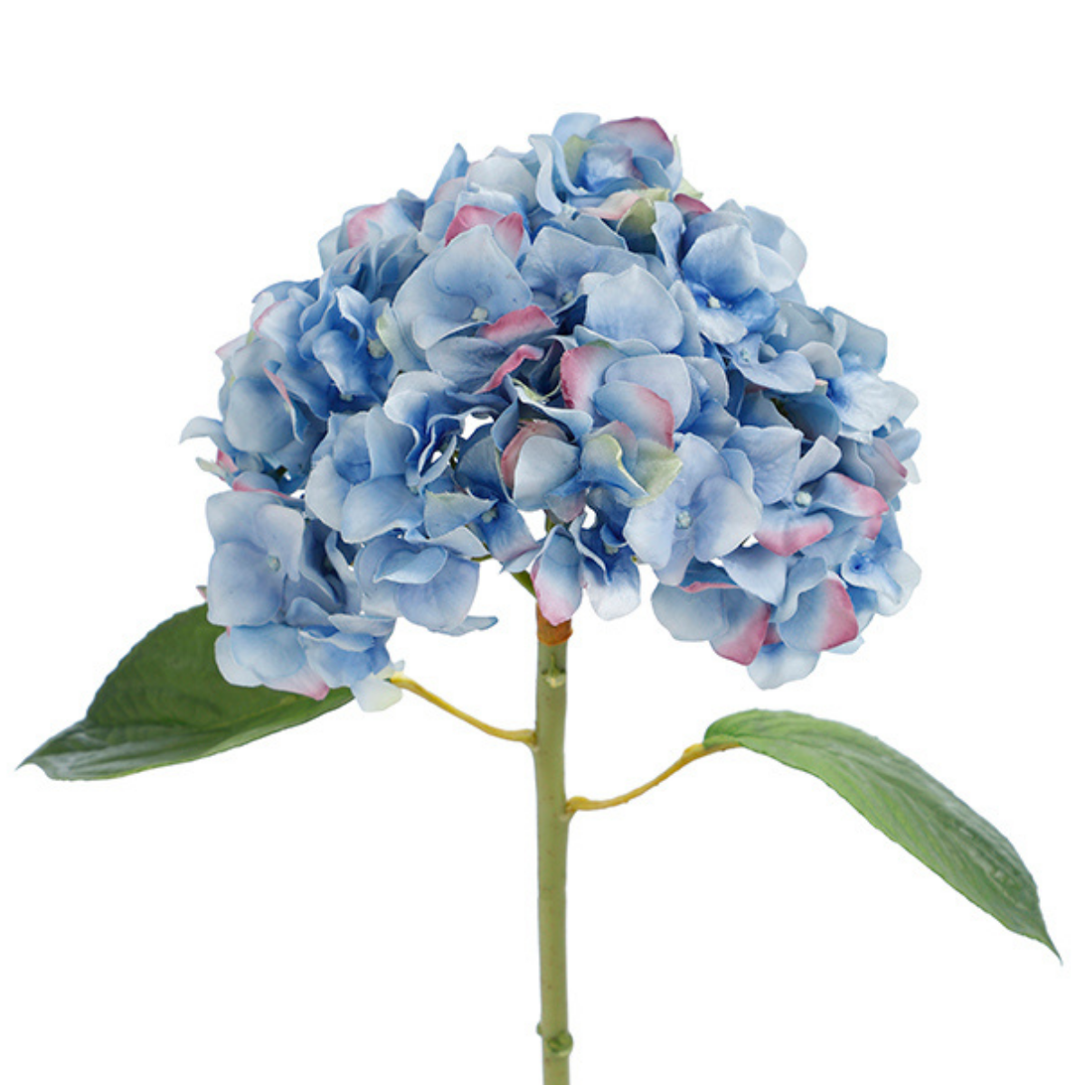 Tige d'Hortensia avec feuilles Premium 45cm