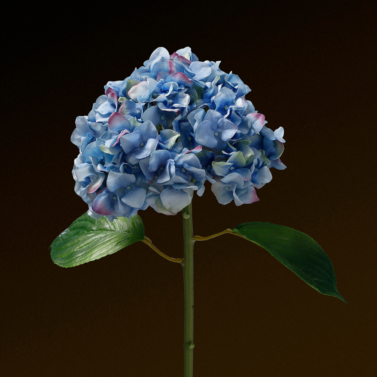 Tige d'Hortensia avec feuilles Premium 45cm