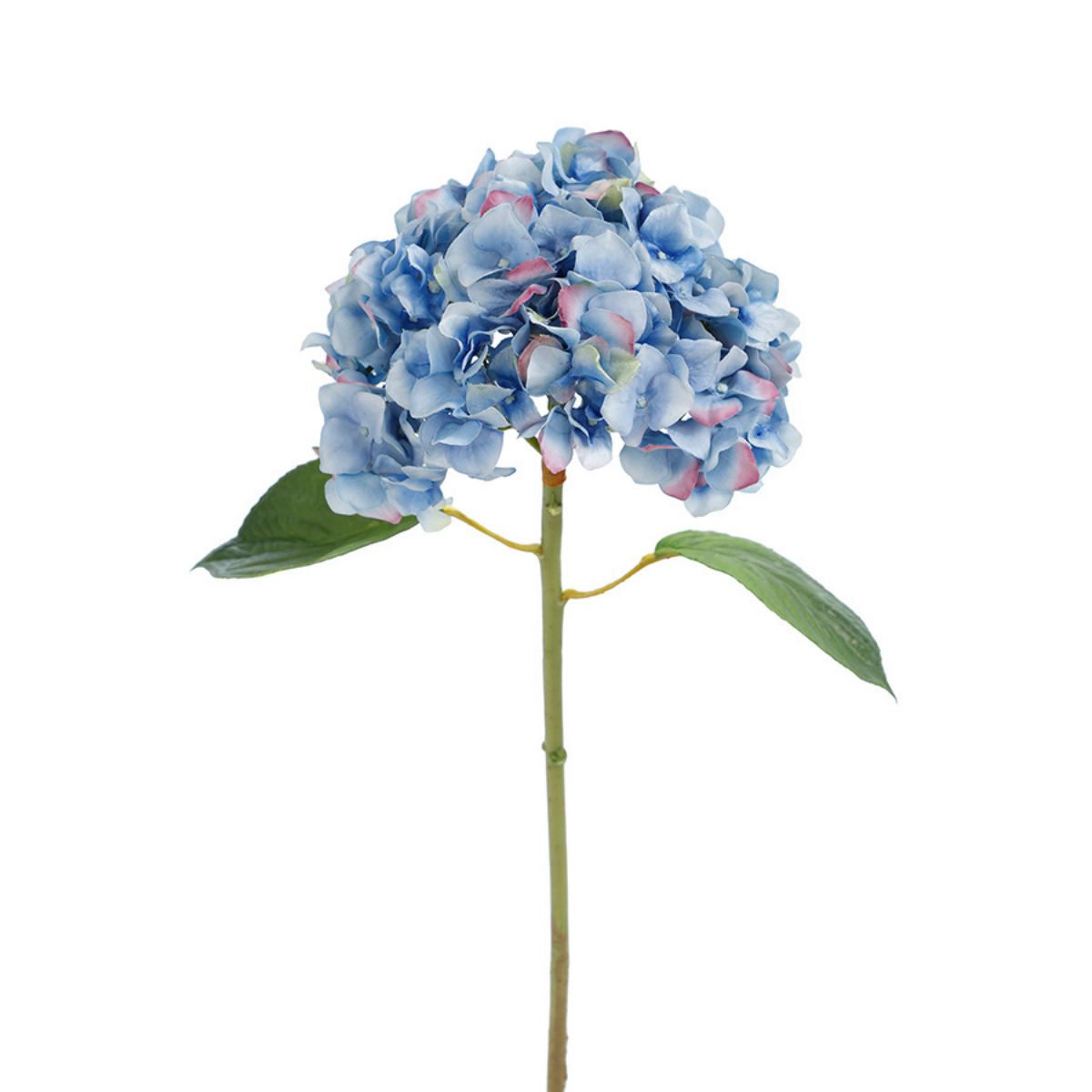 Tige d'Hortensia avec feuilles Premium 45cm