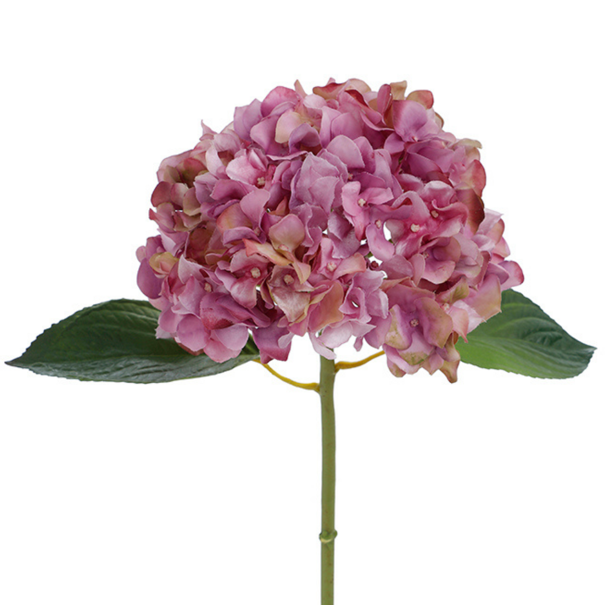 Tige d'Hortensia avec feuilles Premium 45cm