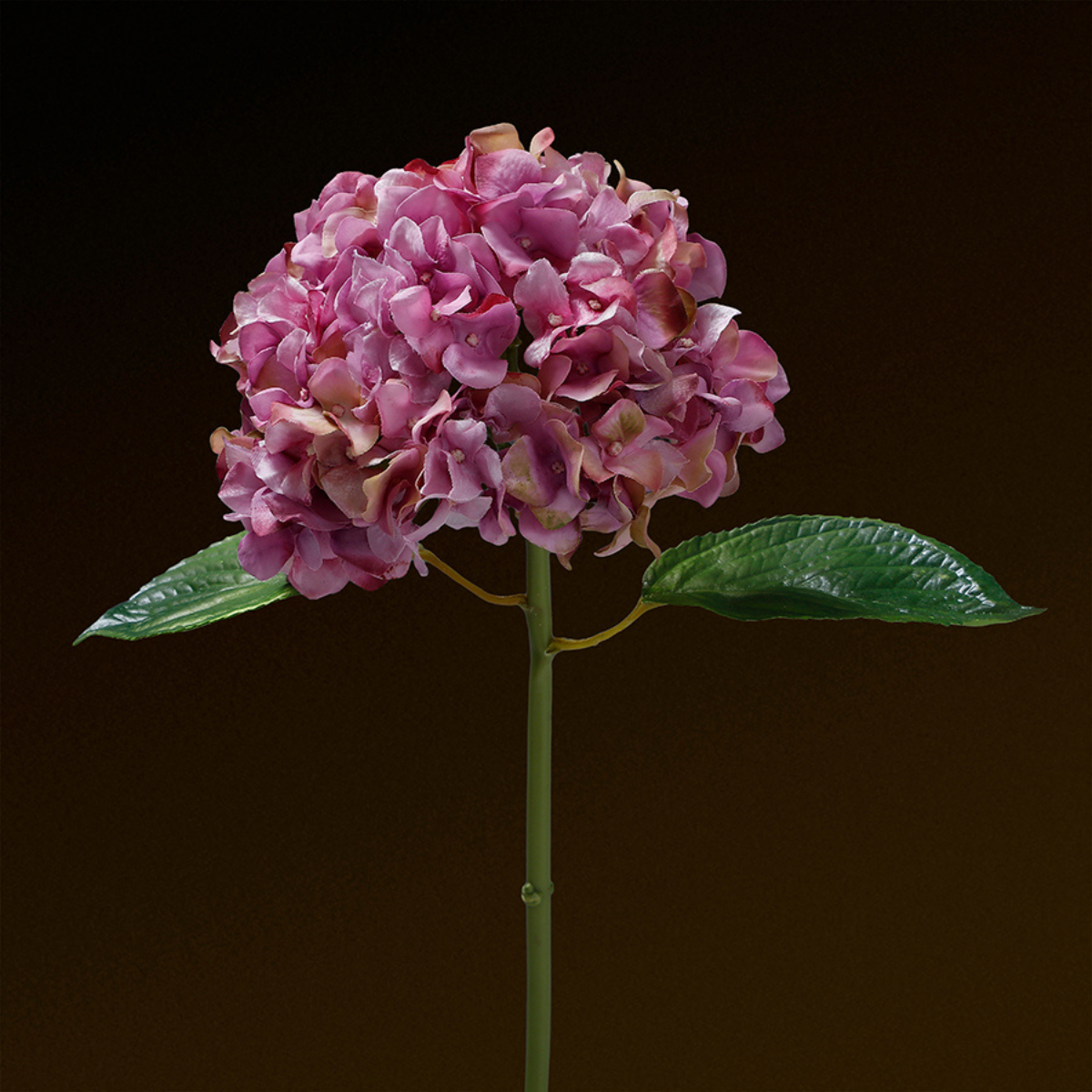 Tige d'Hortensia avec feuilles Premium 45cm
