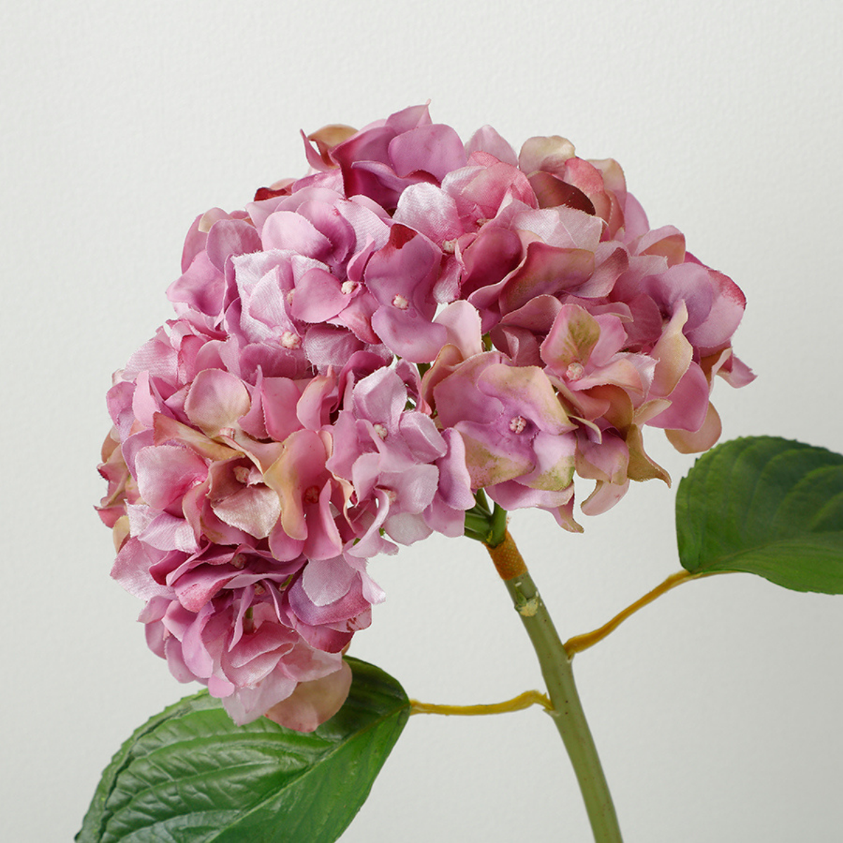 Tige d'Hortensia avec feuilles Premium 45cm