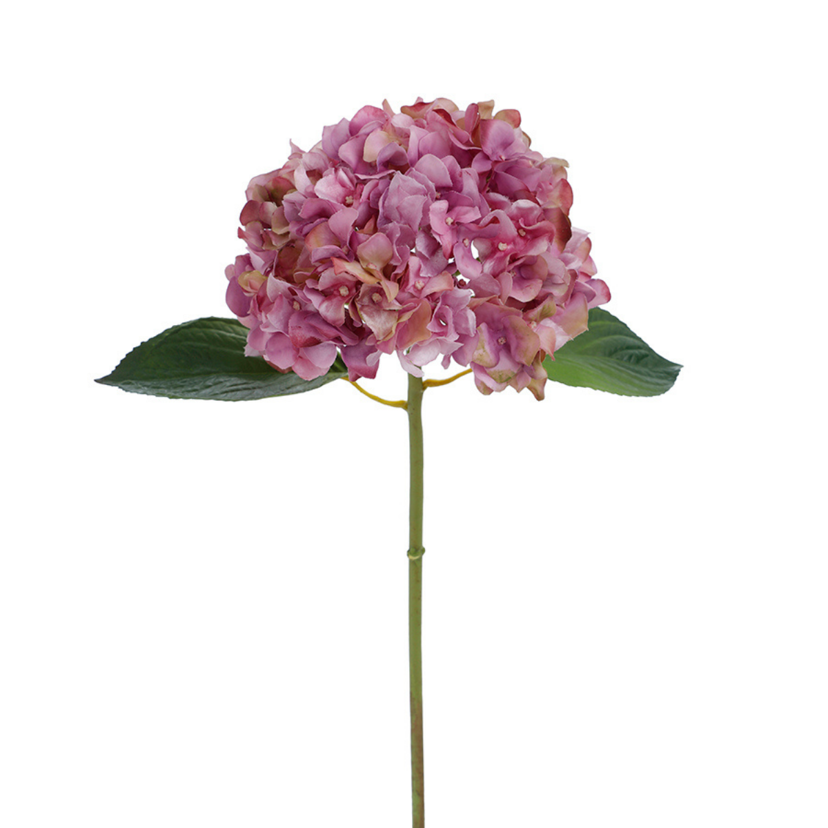 Tige d'Hortensia avec feuilles Premium 45cm