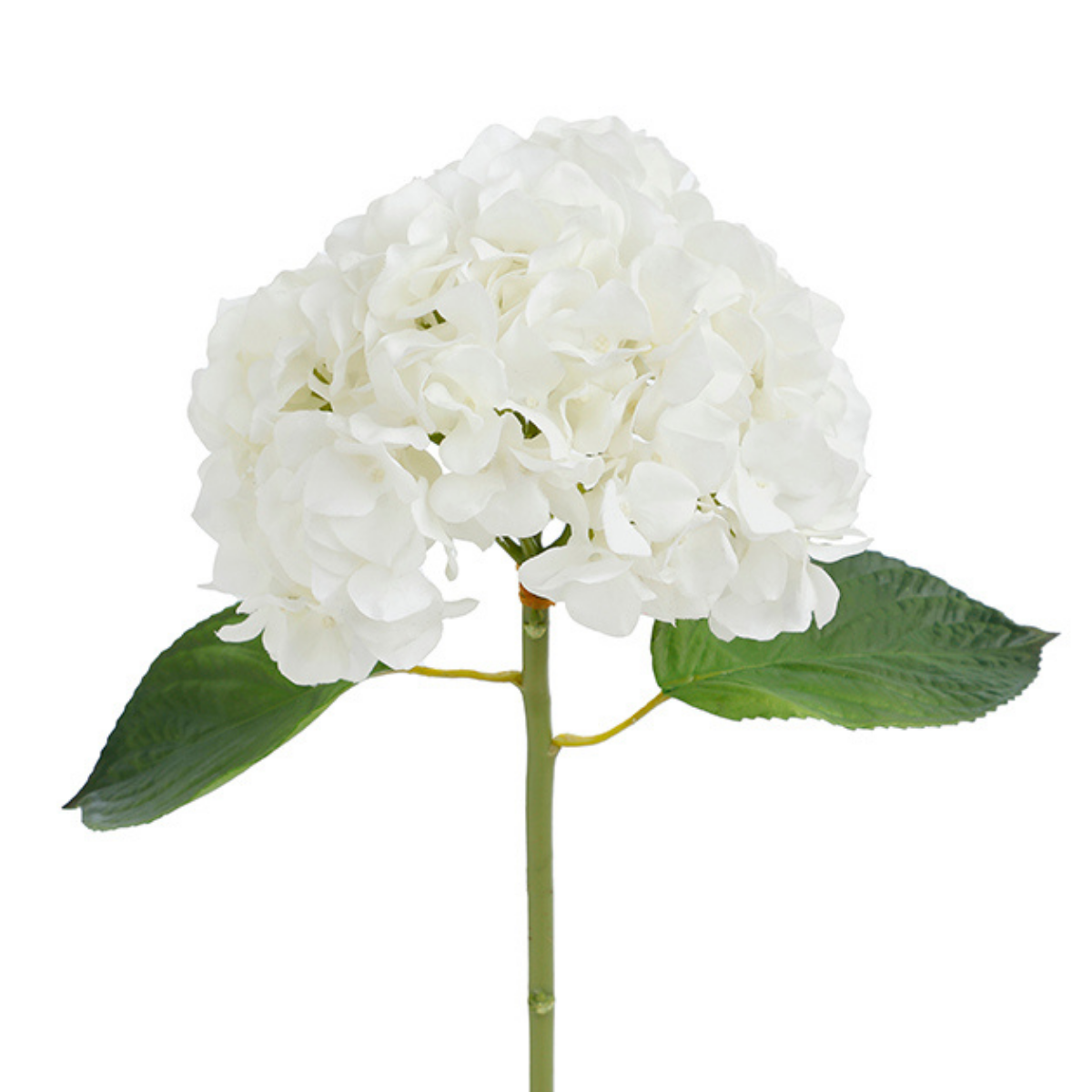 Tige d'Hortensia avec feuilles Premium 45cm