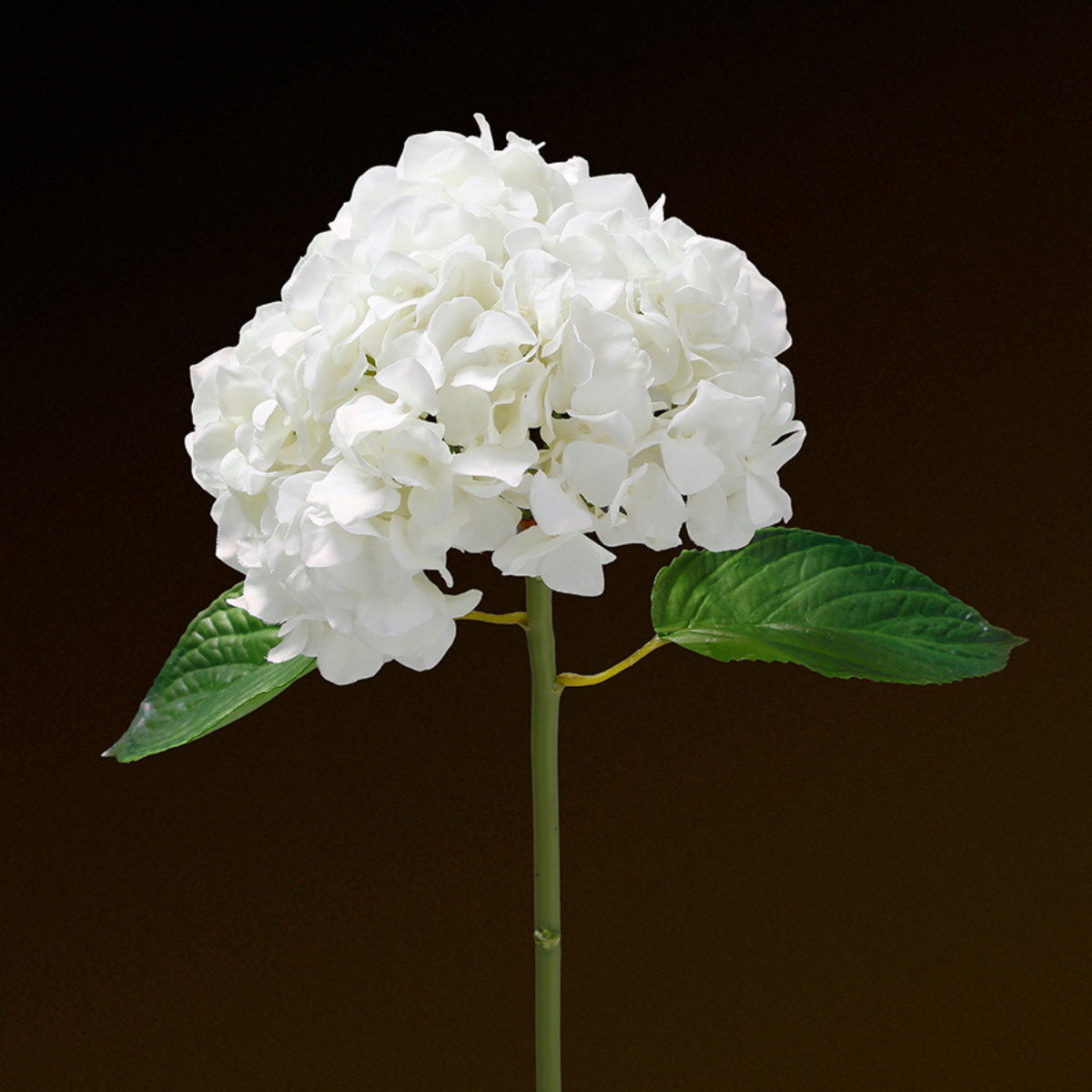 Tige d'Hortensia avec feuilles Premium 45cm