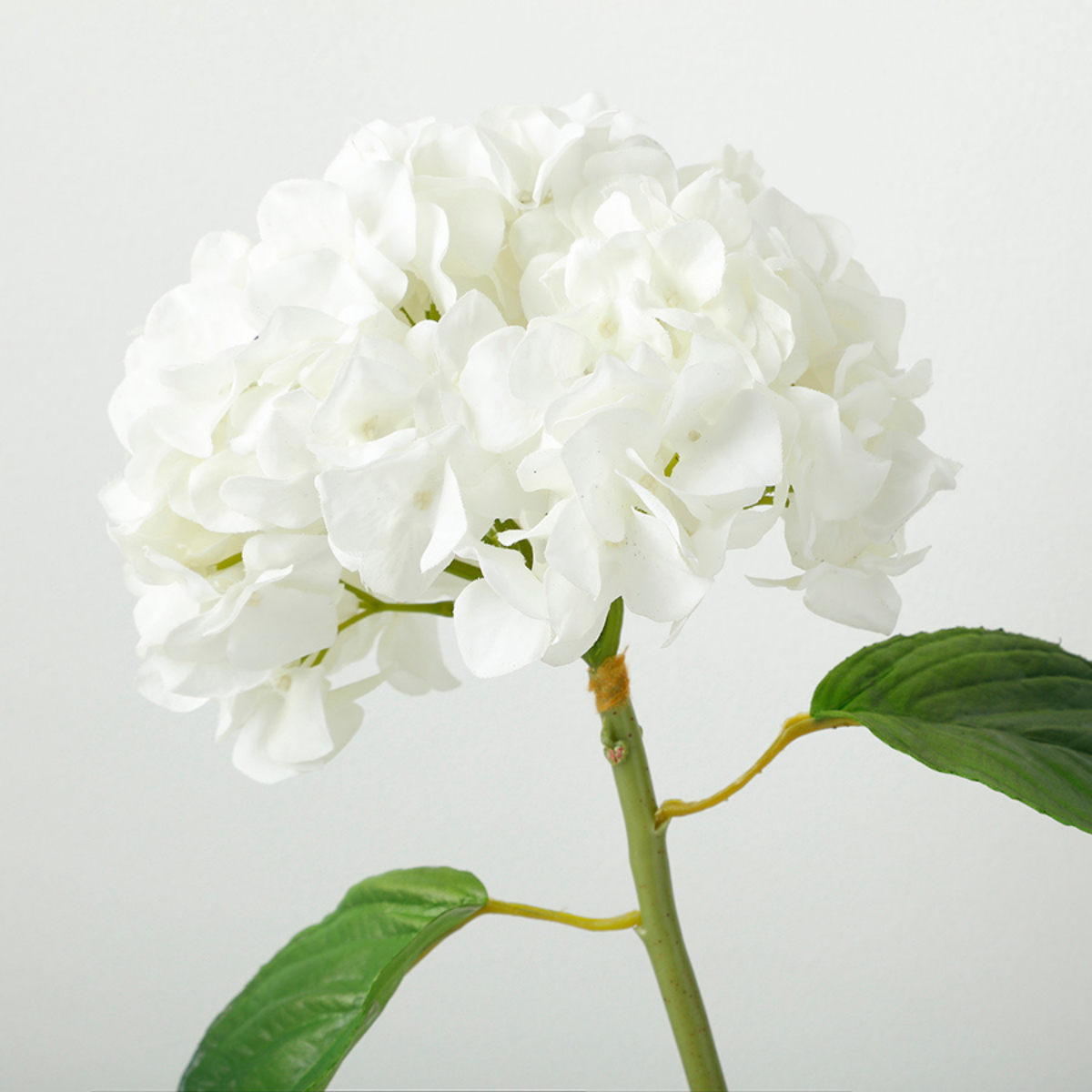 Tige d'Hortensia avec feuilles Premium 45cm