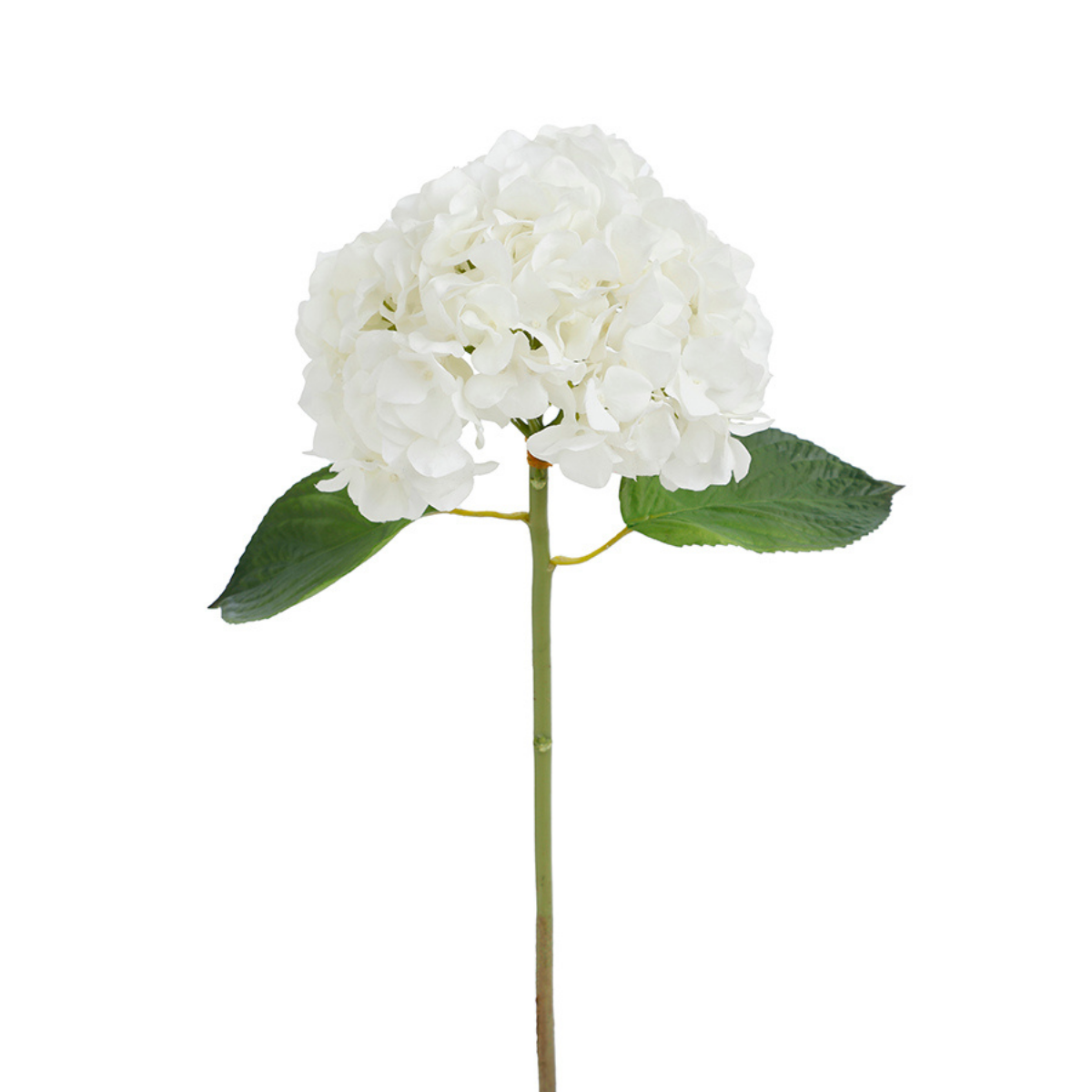 Tige d'Hortensia avec feuilles Premium 45cm