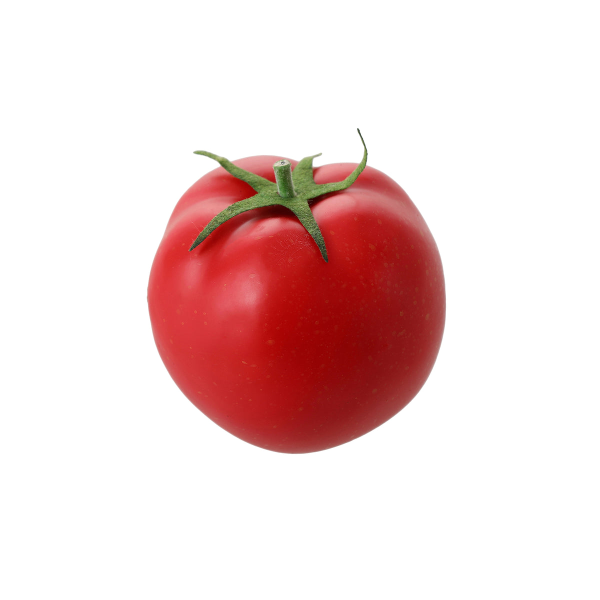 Tomate artificielle rouge en plastique avec tige verte en tissu