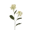 Tige de Sedum 80 cm