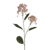 Tige de Sedum 80 cm