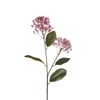 Tige de Sedum 80 cm