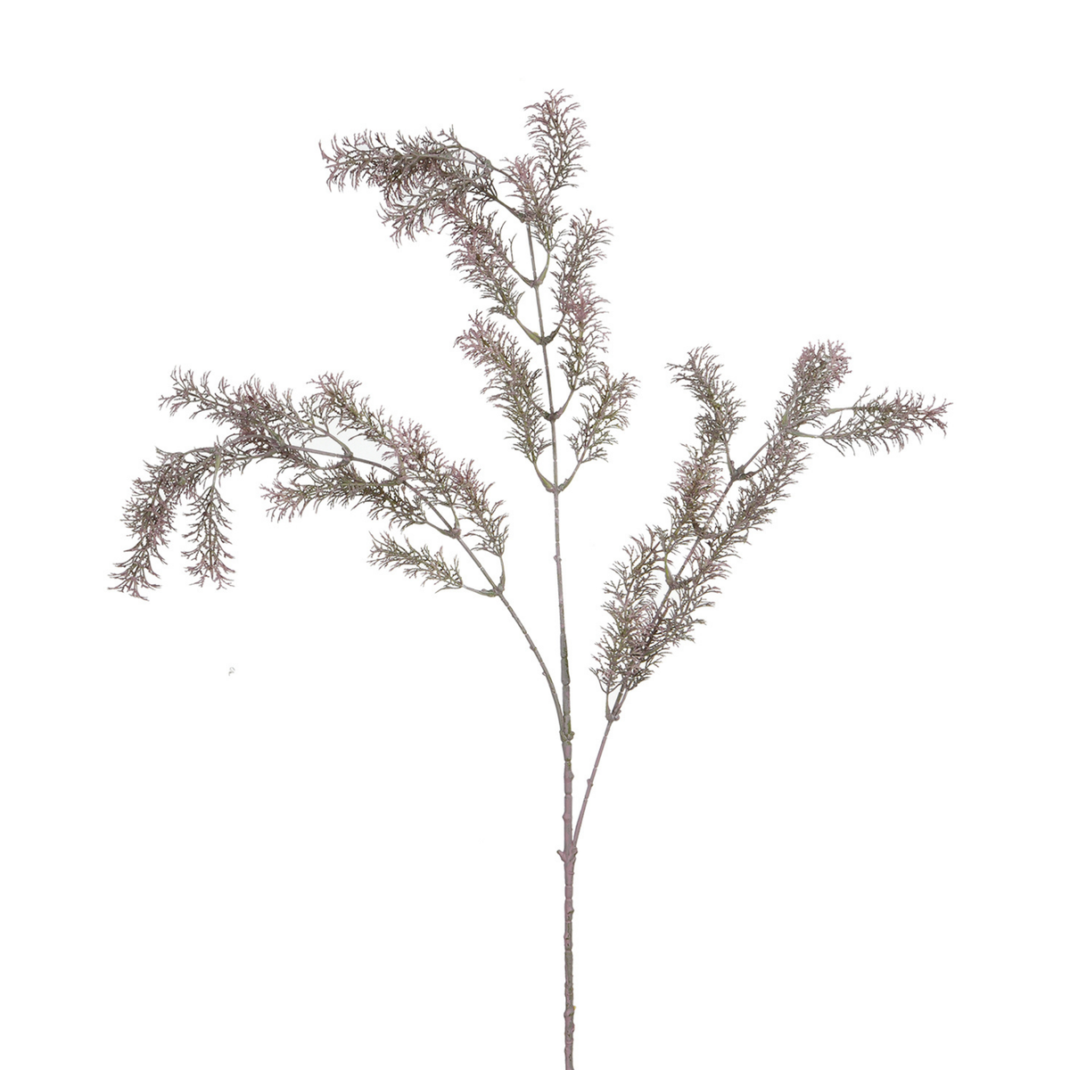 Tige de Ming Fern 93 cm