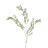 Tige de Ming Fern 93 cm