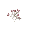 Tige de Chardon 50 cm