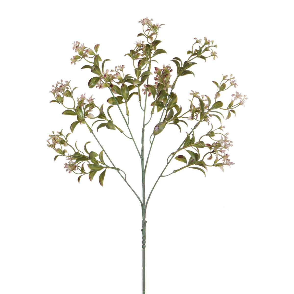 Stelo del fiore 64 cm